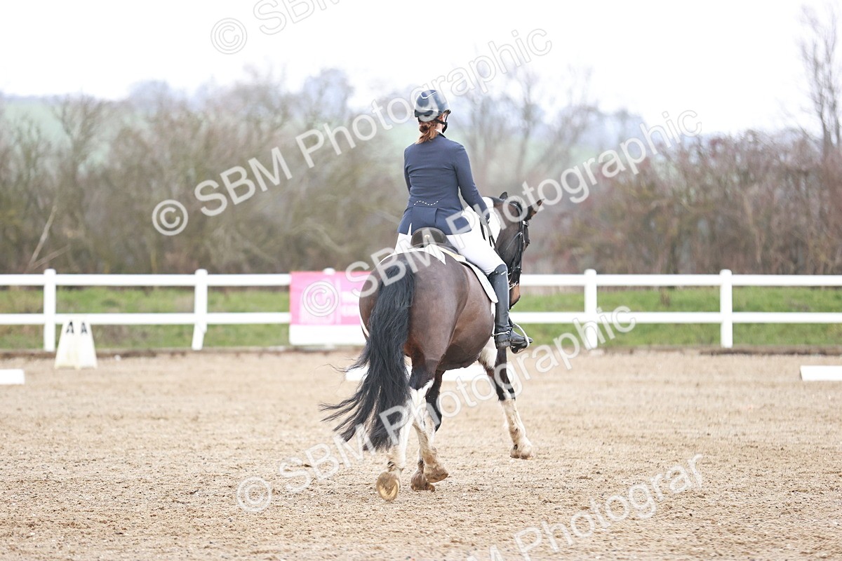 SBM_005460 - Elementary 1