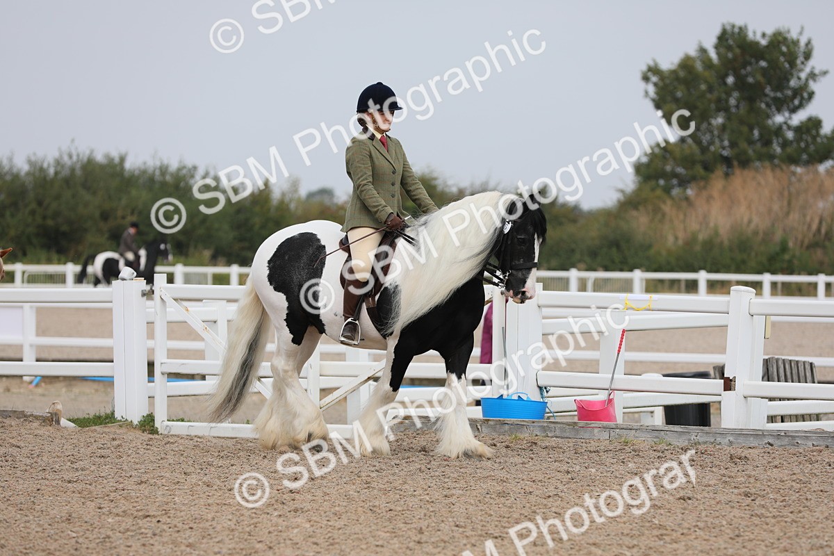 SBM_12661 - Class 307 Ridden Coloured Pony