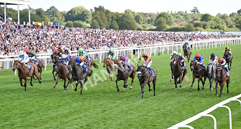 220826-197 Sondad - Race 5 16.10pm Sky Bet Constantine Handicap