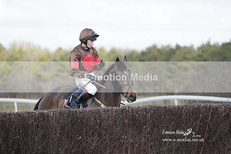 PtP 260223 607 - South & West Wilts Point-to-Point Larkhill 26/02/23