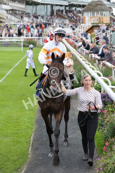 yr24092021r3-6 - Race 3 2.40pm WilliamHill.com Best Odds Guaranteed Stakes