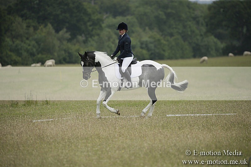 B230619-0378 - Bourne Valley Riding Club Summer Show 23/06/19