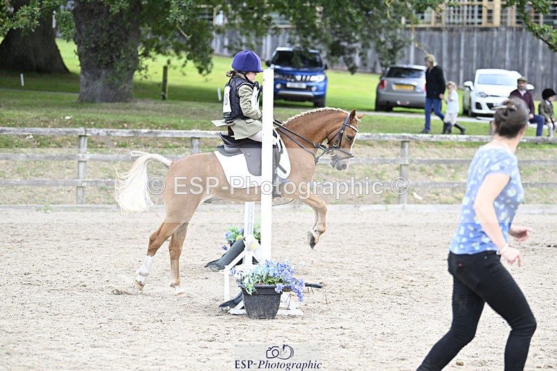 240822X-154933-11995 - 40cm A R2 15.00 to 16.16