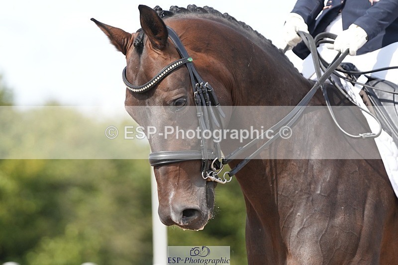 250906-134100-03365 - 113-Nicole.JahanshahiVirtual.Attraction