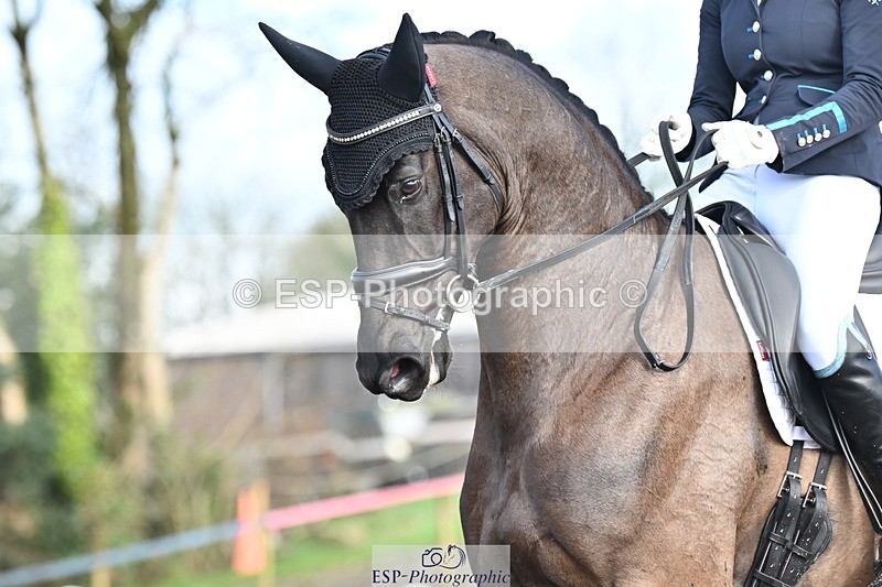 240218A-113656-06768 - 218-Jessica.Davies-Nemo.II