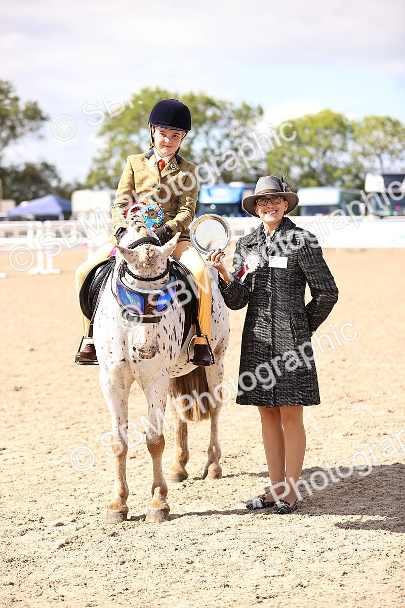 SBM_12888 - Class 409 - Grassroots Ridden - Pony