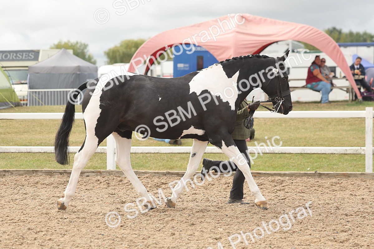 SBM_02085 - Class 15 - IH Coloured