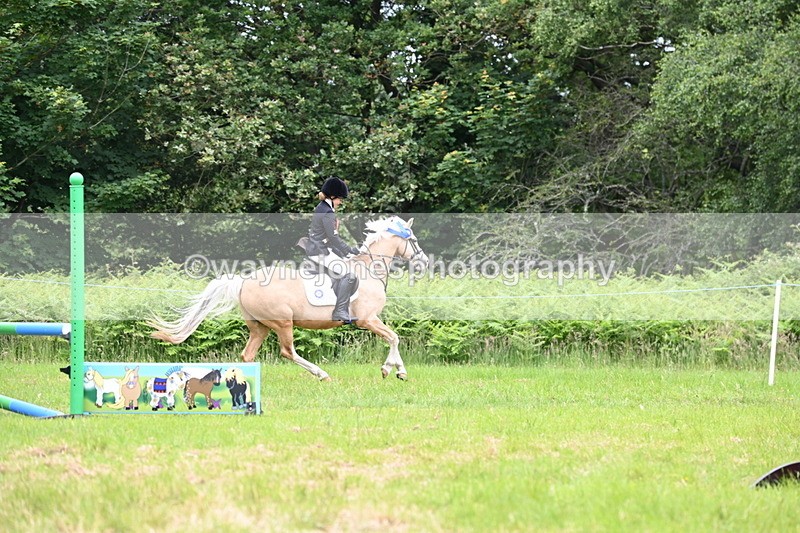 WJ6_5731 - Class 5 pairs 70cm