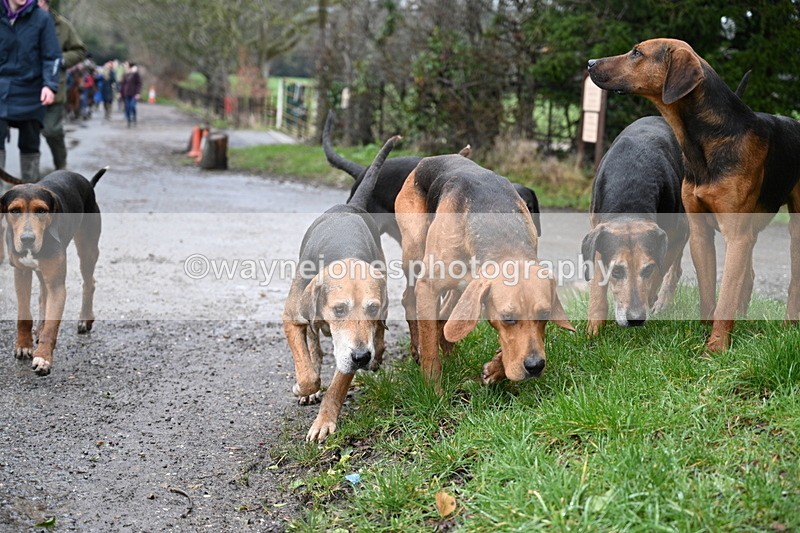 WJ7_9374 - Walk out..