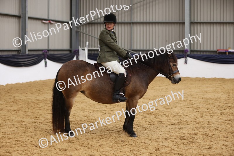 20260913-0645 - Class 126 - Novice Ridden