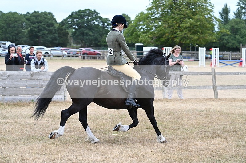 WJ7_0467 - Class 6 Ridden Mountain and Moorland