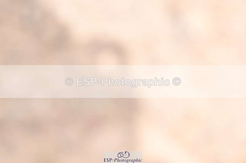 240622A-140950-18658 - Cls 32 BD Medium 69