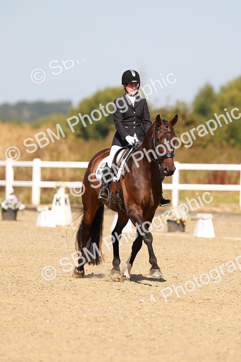 SBM_017660 - Class 9 - N5 Bronze 10.33.11.36