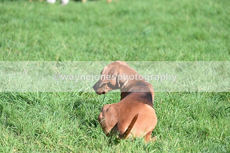 WJ7_6687 - Line Two
