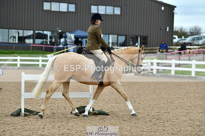 230416A-092740-03090 - Cls 52+53 Novice Horse, Pony, Combi