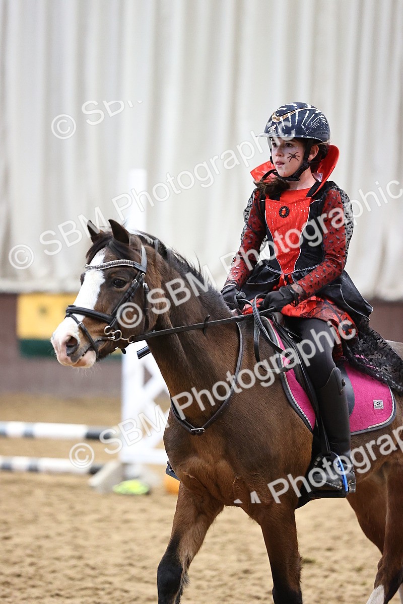 SBM_000686 - Class 2 - Show Jumping 50cm