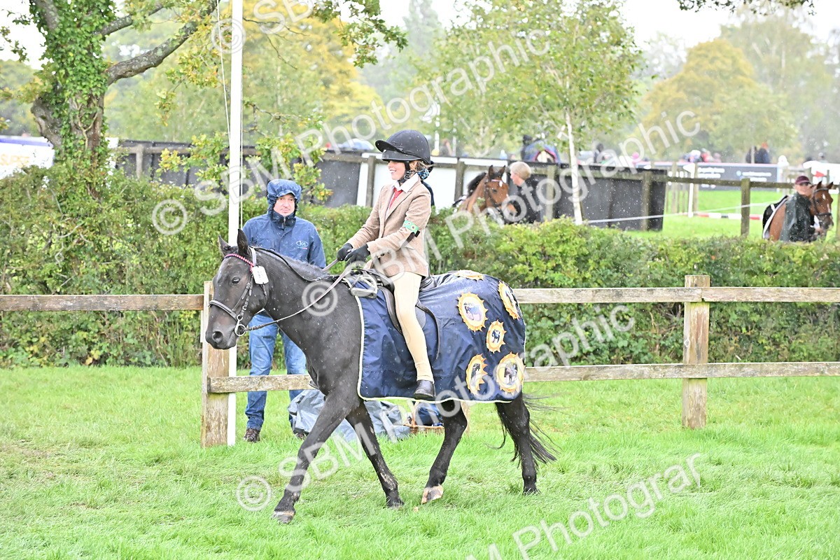 SBM_42993 - S12 - Family Horse & Pony