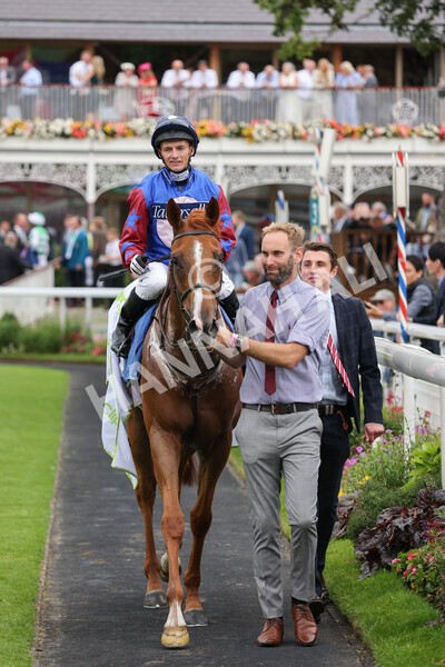 yr19082021r3-50 - Race 3 3.00pm Clipper Logistics Stakes