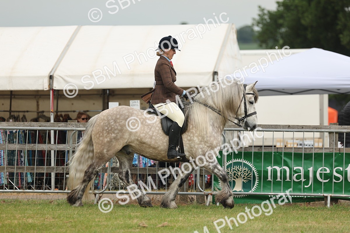 SBM_08928 - Class 78-80 - Ridden M&M Non Welsh Ponies
