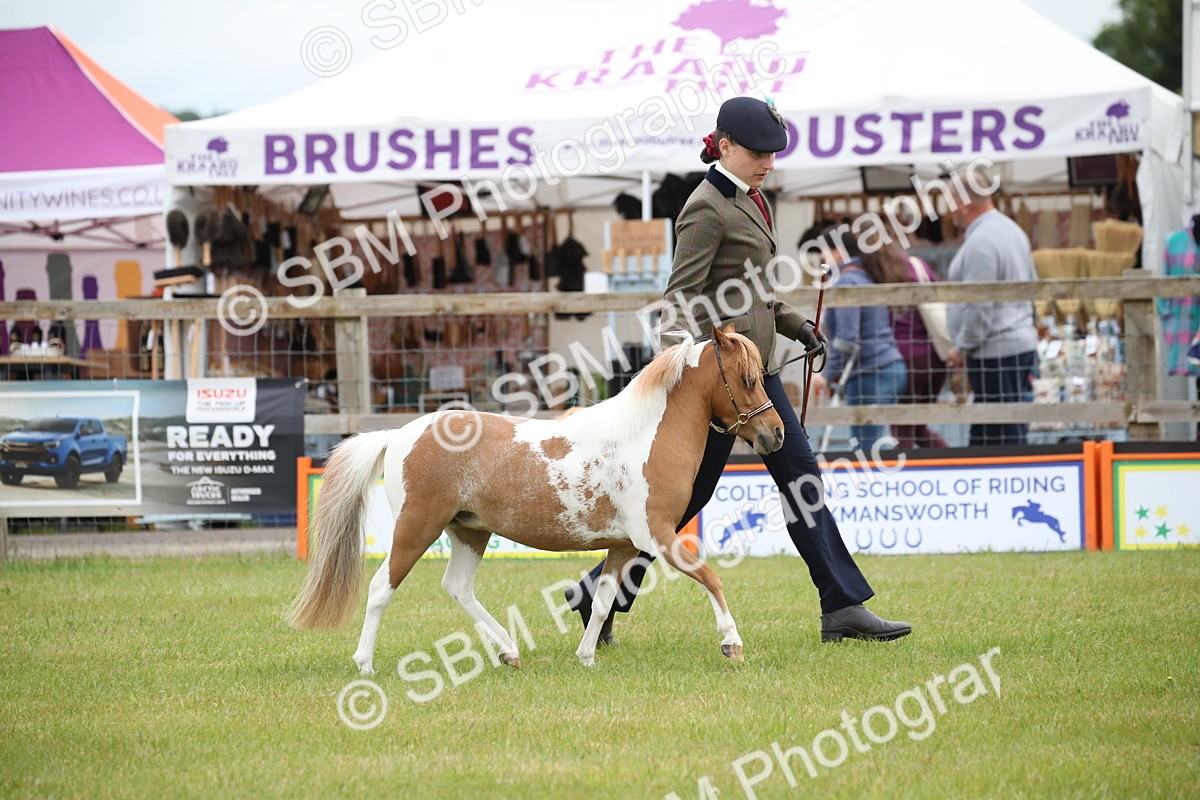 SBM_03928 - Class 23-25 - British Miniature Horse of the Year