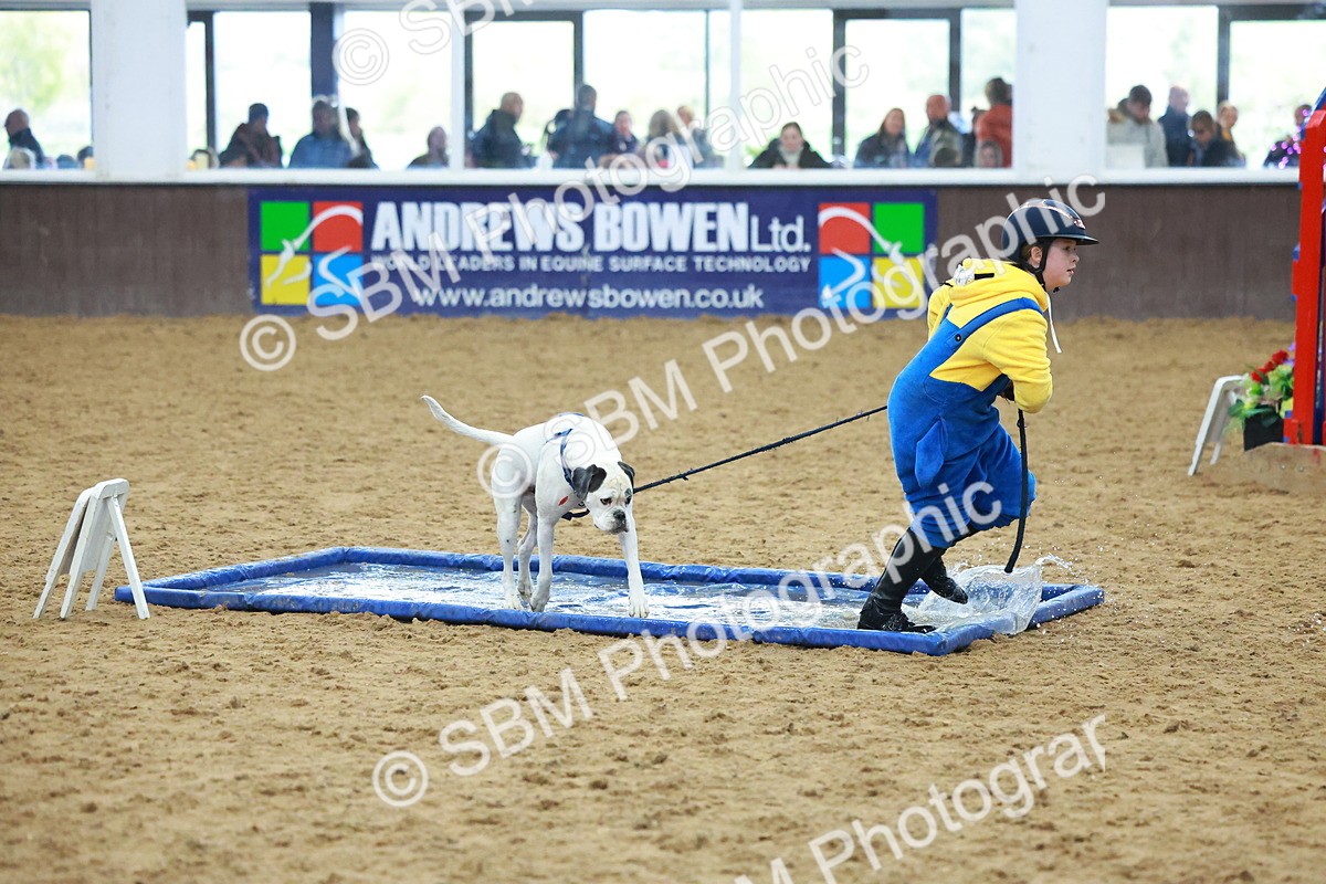 SBM_002302 - Class 3 - Horse & Hound (60cm)