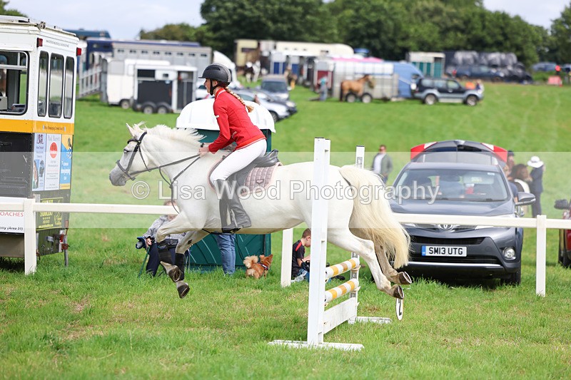 3E7A5648 - Class 2: 70cm Juniors and Seniors