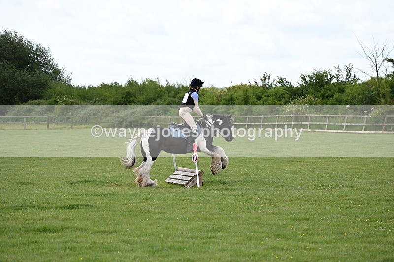 WJ6_2714 - Class 2 40cm