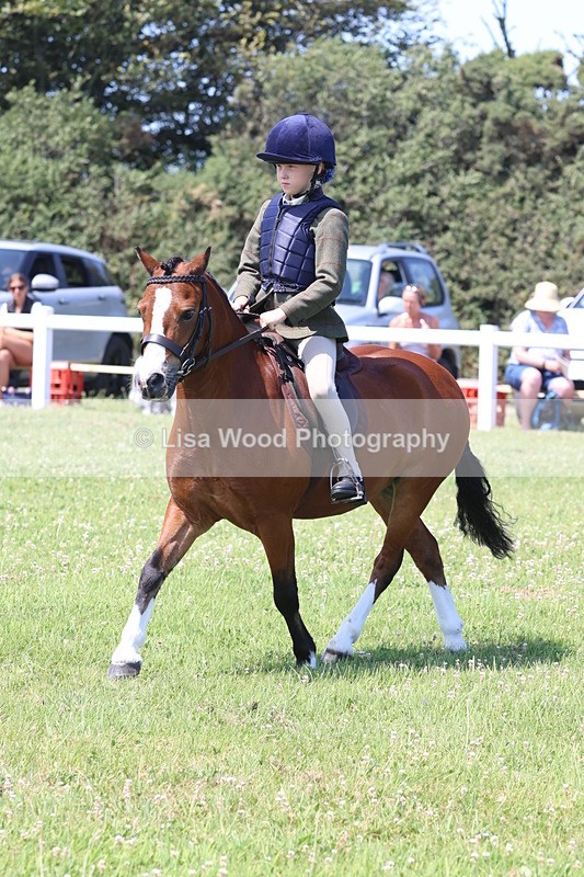 JPP_2339 - Class 20: Tiny Tots Working Hunter Pony
