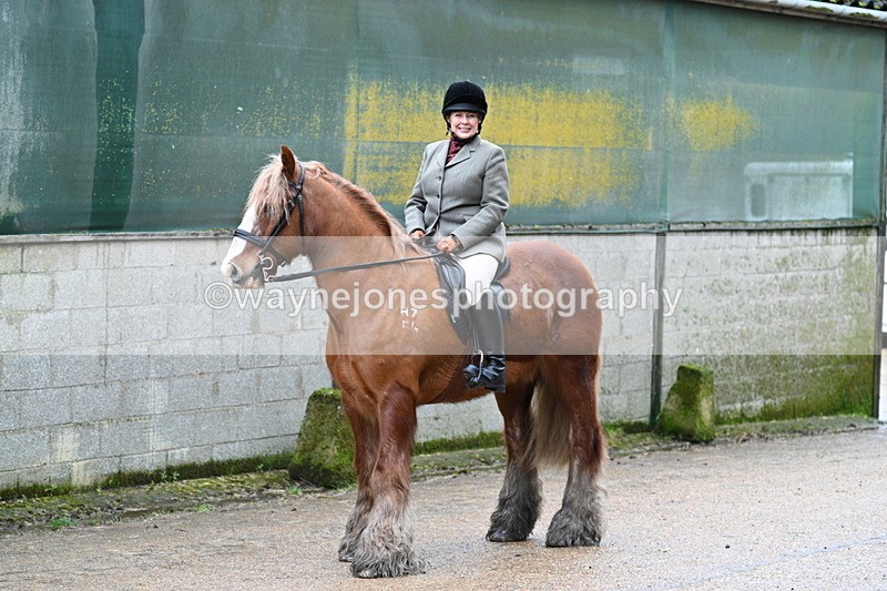 WJ7_8720 - Berks & Bucks - Rowles Farm 15-02-26