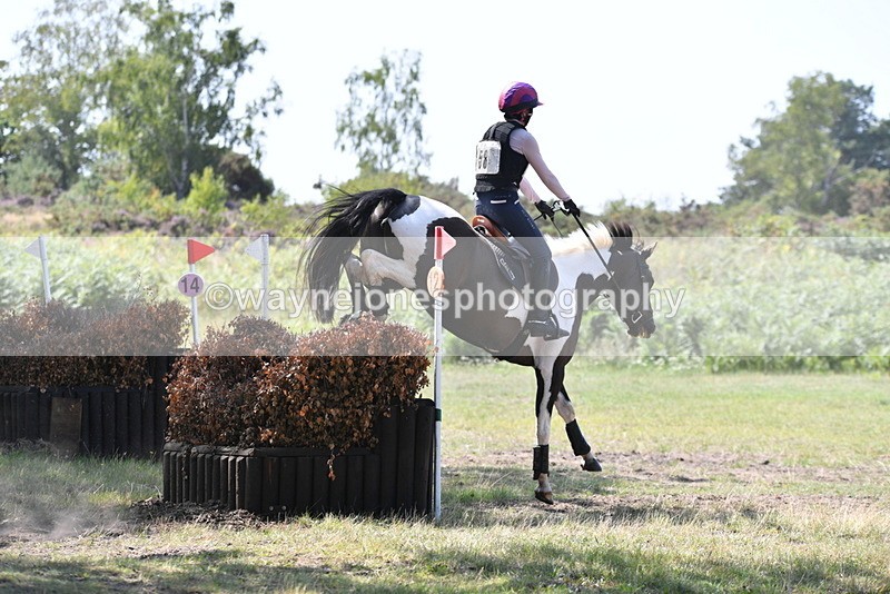 WJ5_3201 - XC Time 13:03 to 13:28