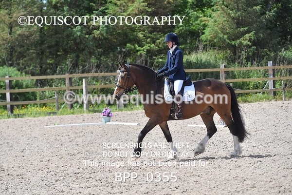 BPP_0355 - NOVICE 6