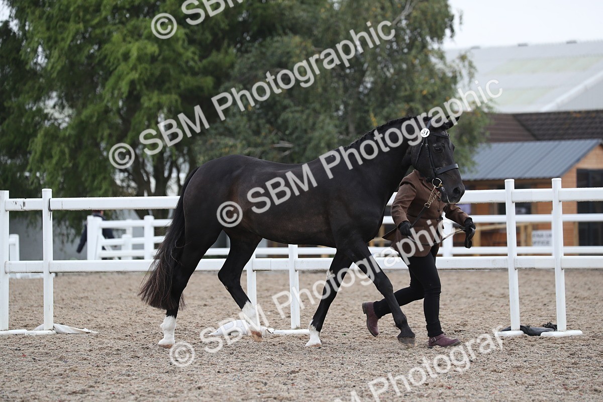 SBM_22511 - Class 604 - 2025 Area - IH Diamond