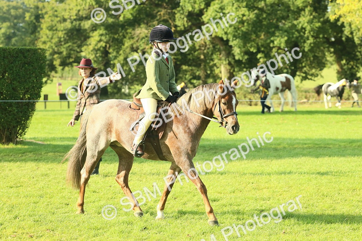 SBM_59134 - S38 - Starters Ridden Showing