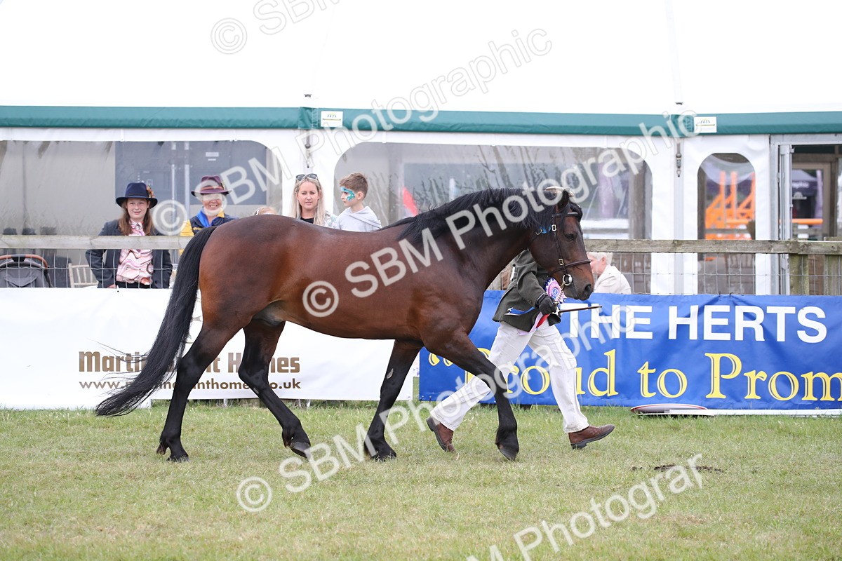 SBM_09770 - Ch 50 - Price Family Supreme In Hand