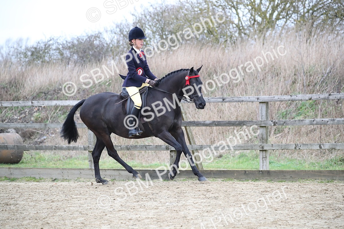 SBM_004792 - Class 5-9 - NPS In Hand-Show Hunter-Intermediate Ridden Inc Ridden Championship