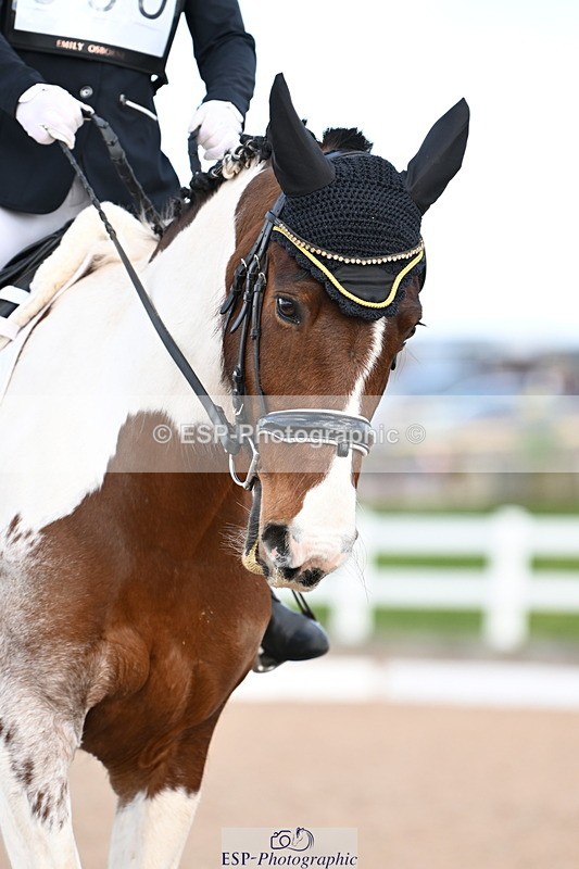 240324A-130908-02811 - Novice 27, 12.30 to 13.50