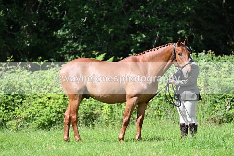 WJ7_1231 - Class 11 Condition & Turnout