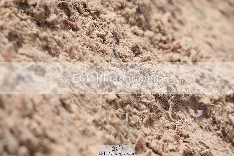 250921-135745-03431 - Cls 15-17 CoH 90cm, 1m and 1.10m