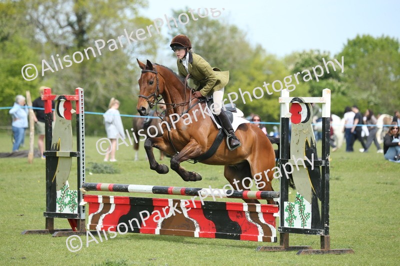 20260426-2038 - Class 15 - Absolute Novice 70cm