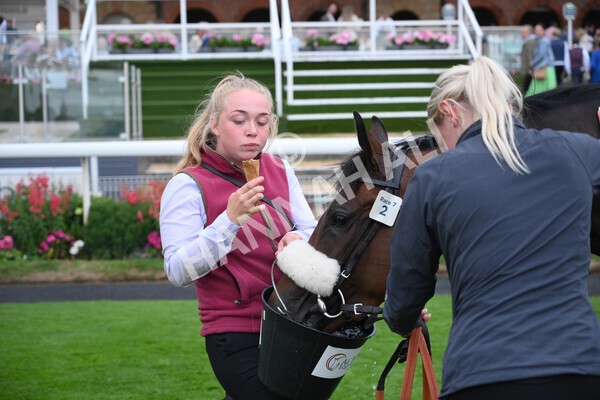 yr22072022r7-51 - Race 7 8.25pm The Sky Bet Go-Racing-In-Yorkshire Summer Festival Stakes