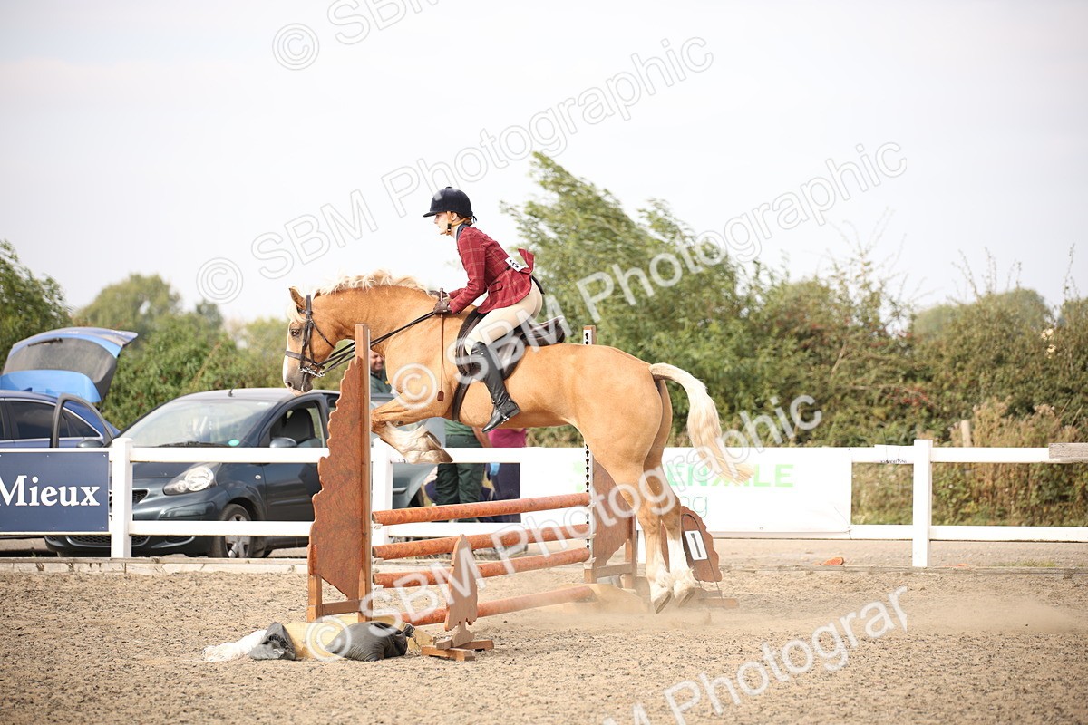 SBM_17248 - Class 410a - Wor5king Veteran 90cm (15-19)