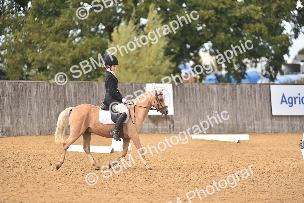 SBM_48665 - D22 - Junior Championship Intro 3
