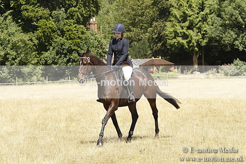 _BS_0789 - BVRC Show 2018 Ring 1