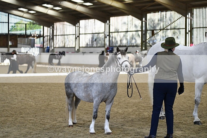 WJ5_4077 - Class 2 Best Condition In hand