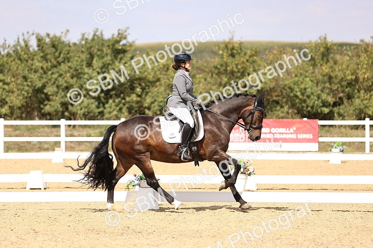 SBM_015024