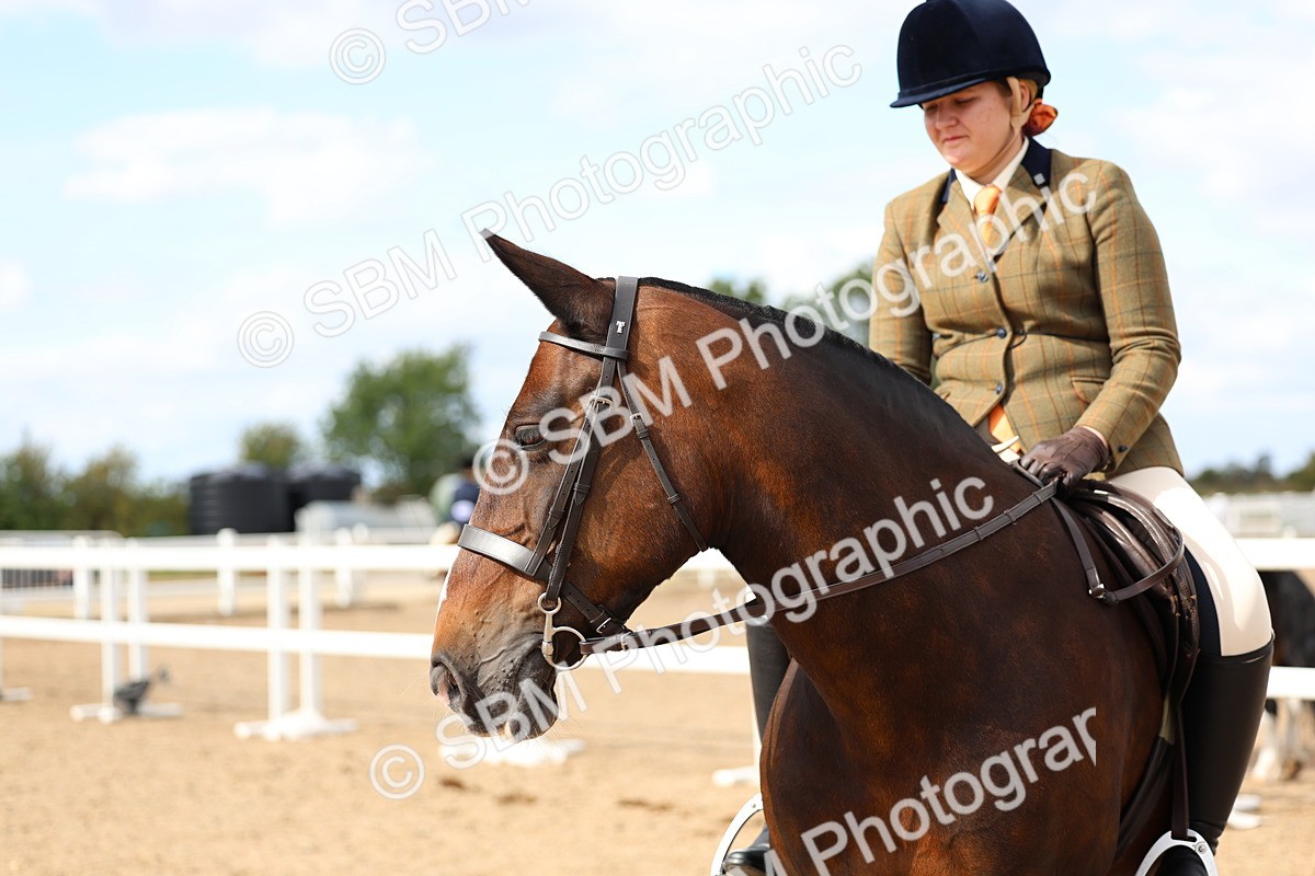 SBM_15854 - Class 314 - Family Horse - Pony