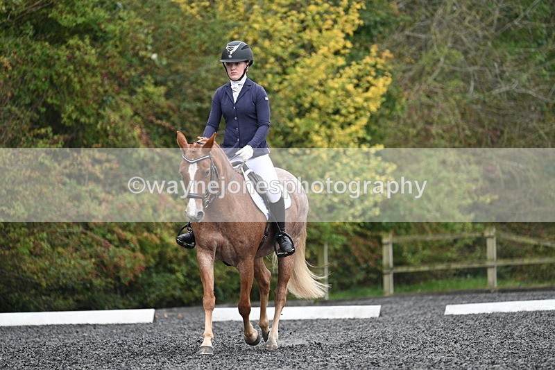 WJ7_3282 - Time 09:54 to 10:54