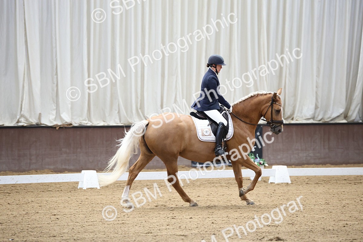 SBM_002070 - Class 5 - Novice 6 Gold - 9.00-10.10