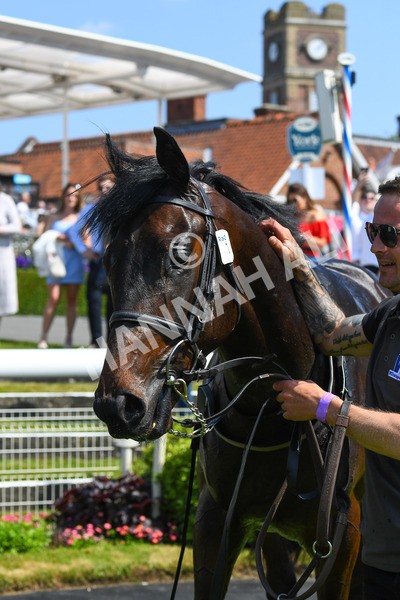 270523-Race 2-Native American-0353 - Race 2 2.10pm Collective Green Energy EBF Restricted Novice Stakes