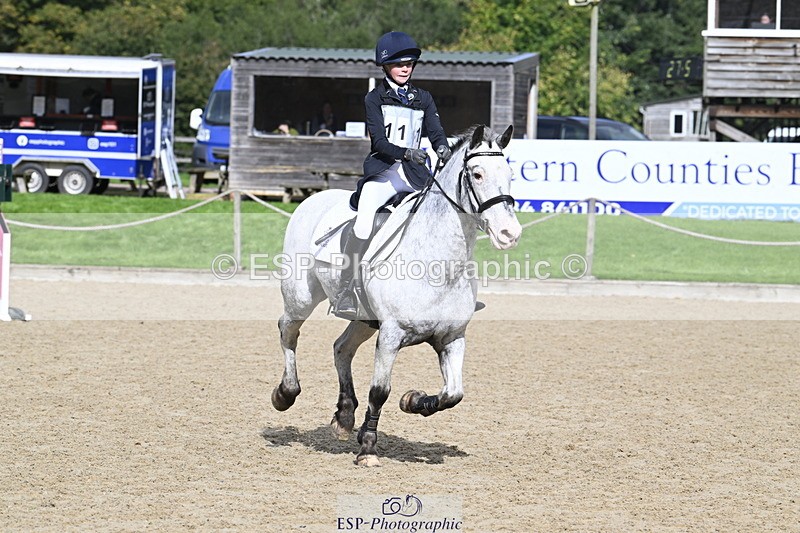 251005A-121013-03632 - Cls 08 Mini 70-75cm